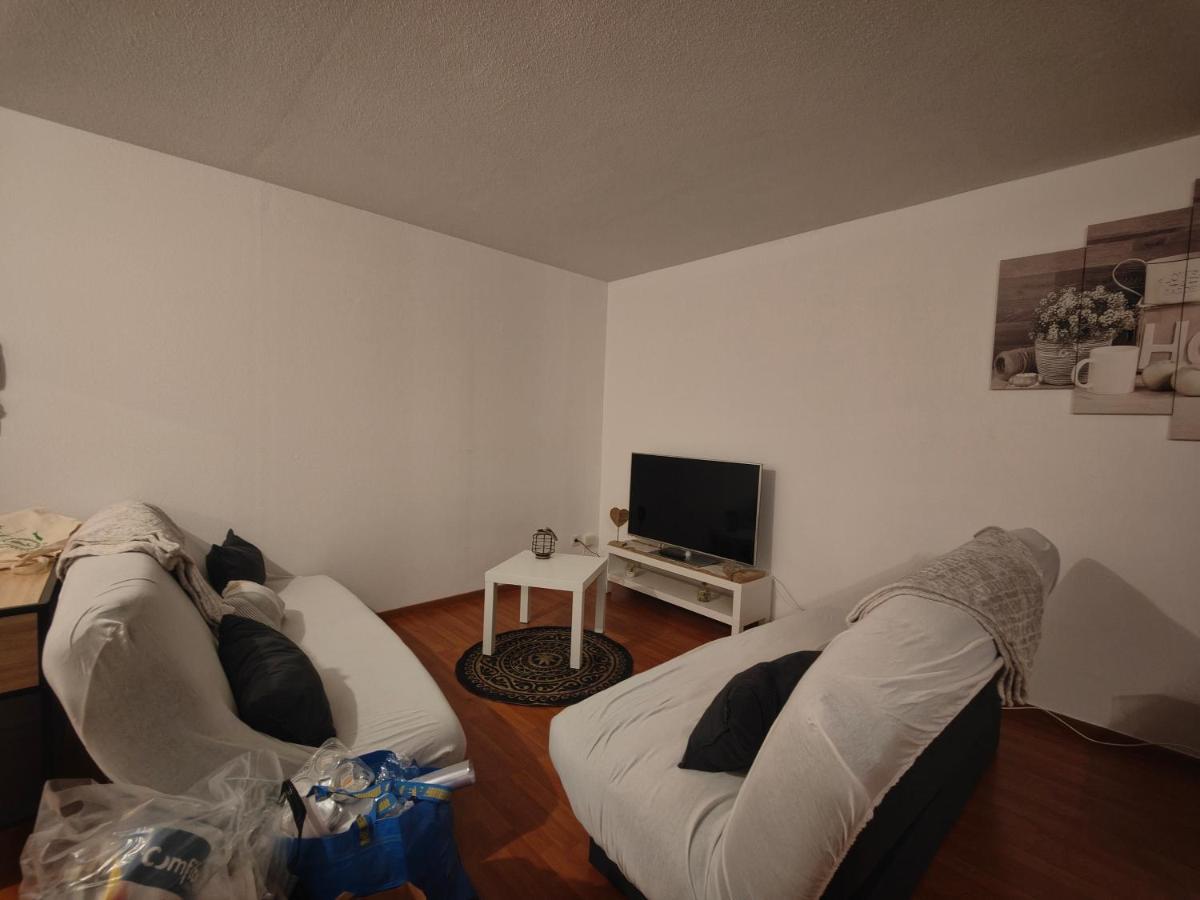 Appartement Rez-De-Chausse Dans Une Petite Ville Au Pied Du Massif Des Vosges Саверн Экстерьер фото