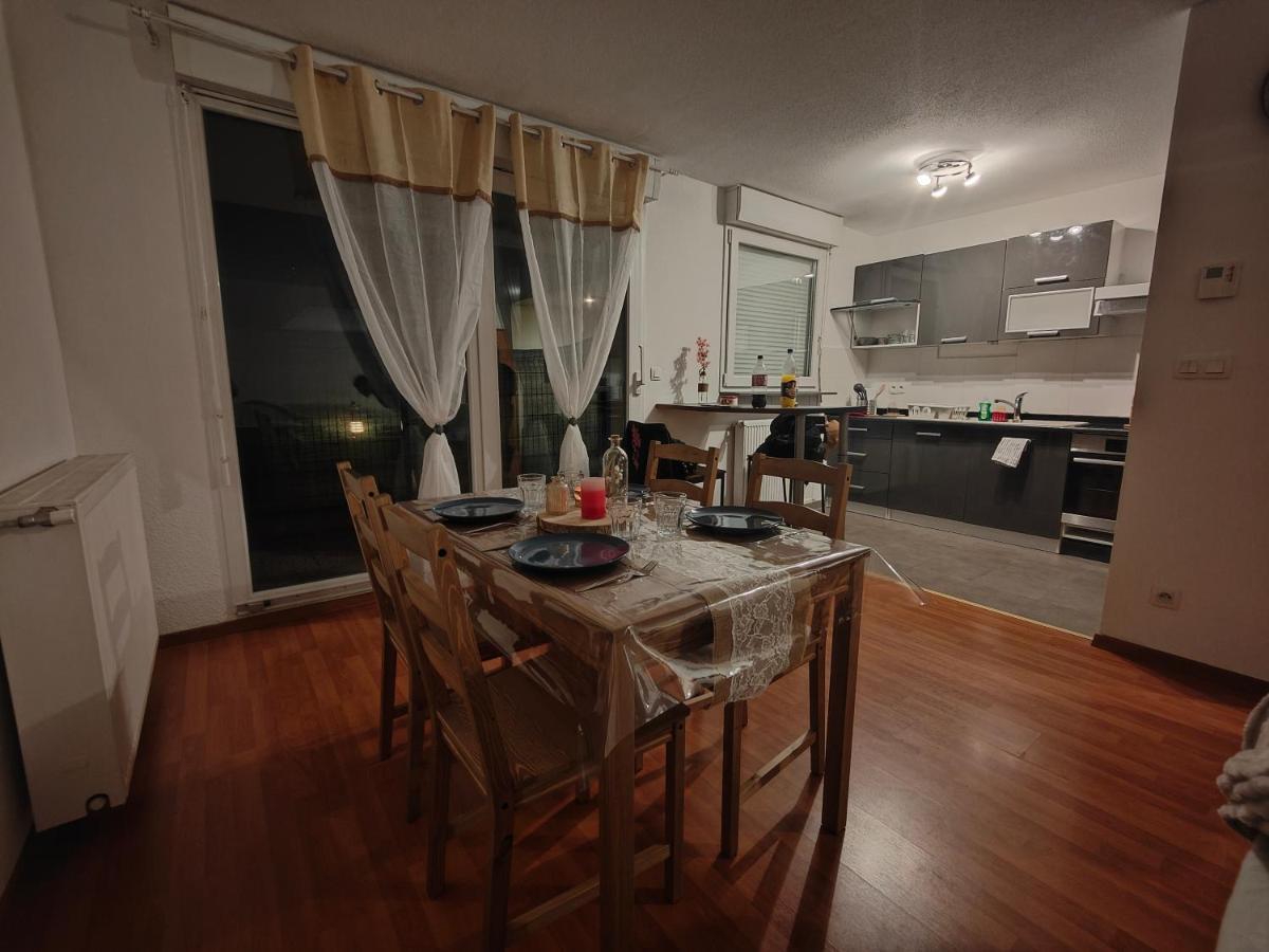 Appartement Rez-De-Chausse Dans Une Petite Ville Au Pied Du Massif Des Vosges Саверн Экстерьер фото
